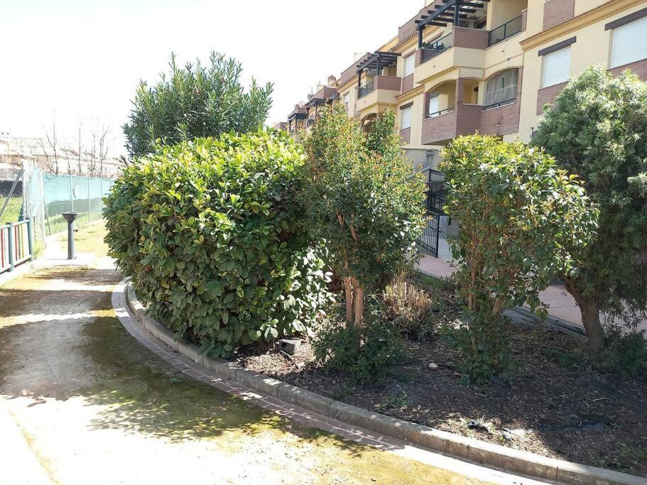 El Nido Del Nomada Apartment Atarfe Екстериор снимка